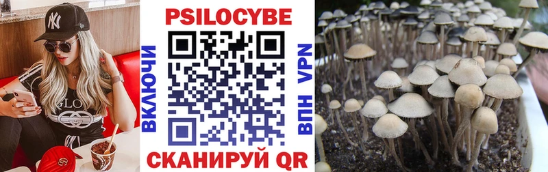 Псилоцибиновые грибы MAGIC MUSHROOMS Спасск-Рязанский